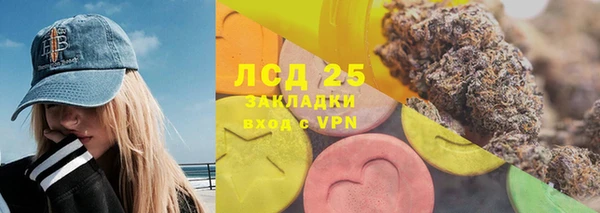 PSILOCYBIN Сосновка