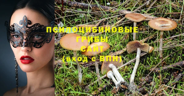PSILOCYBIN Сосновка