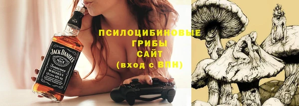 бошки Сосновый Бор