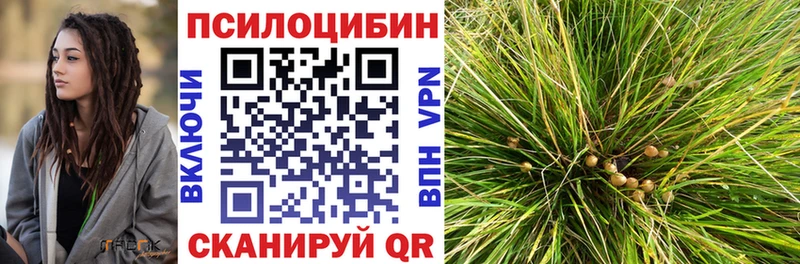 Псилоцибиновые грибы Psilocybe  дарнет шоп  Барыш 