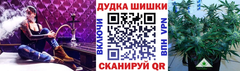 Каннабис MAZAR  сколько стоит  Барыш 